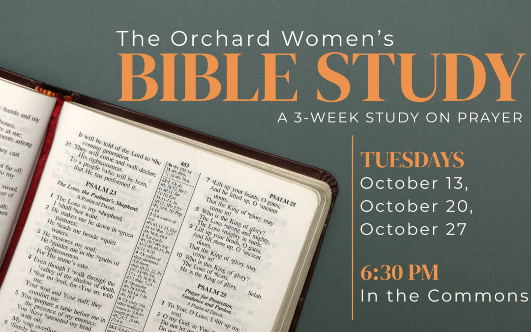 Women’s Bible Study